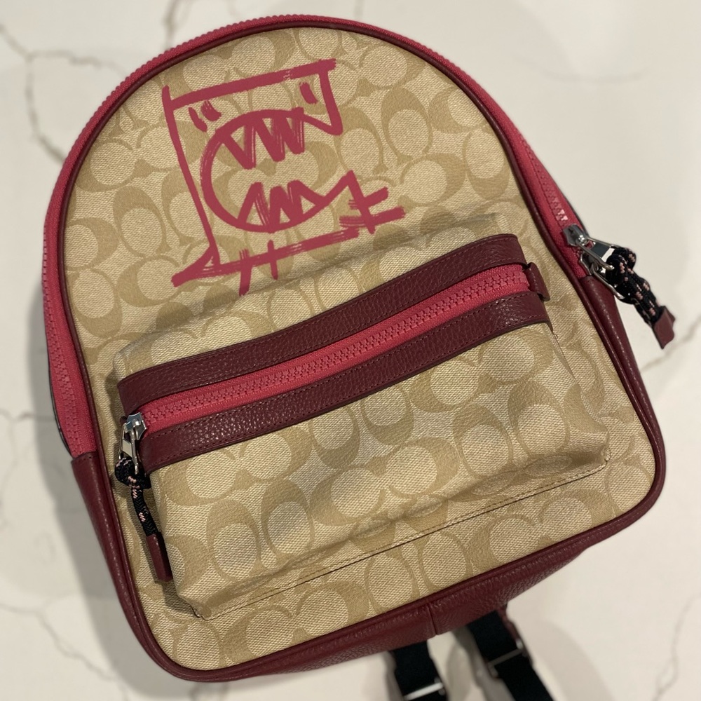 Coach Bag/Purse Vale Medium Charlie Backpack Bag Signature Rexy